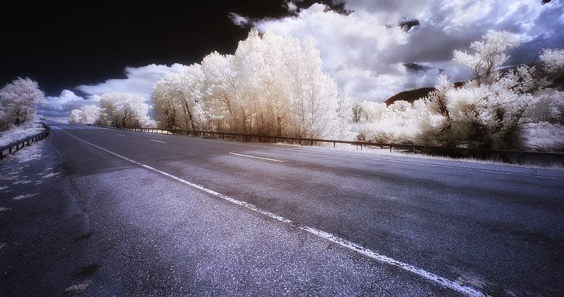 手機紅外攝影濾光片拍攝案例 手機紅外攝影濾光片拍攝案例