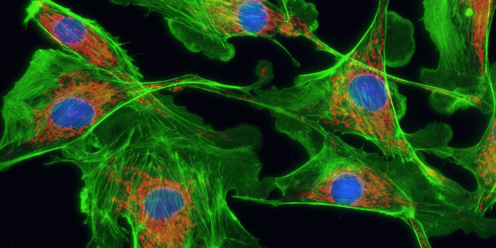 pcr熒光濾光片選型 pcr熒光濾光片選型