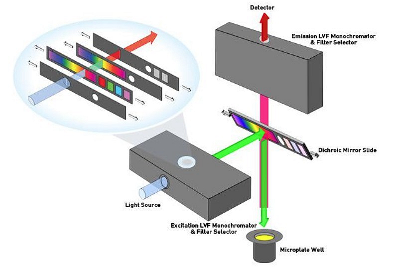 酶標儀使用光柵和濾光片的區別 酶標儀使用光柵和濾光片的區別
