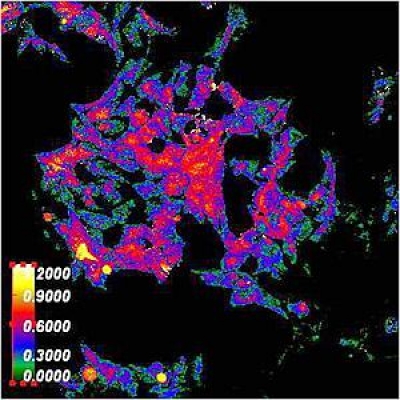 熒光PCR檢測儀用濾光片波段應(yīng)用及定制生產(chǎn)